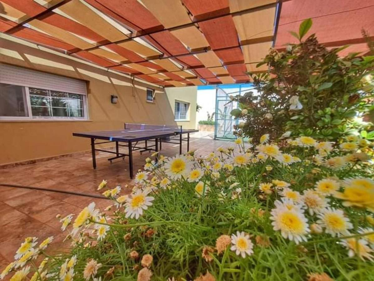 מאדאבה Villa Zee מראה חיצוני תמונה