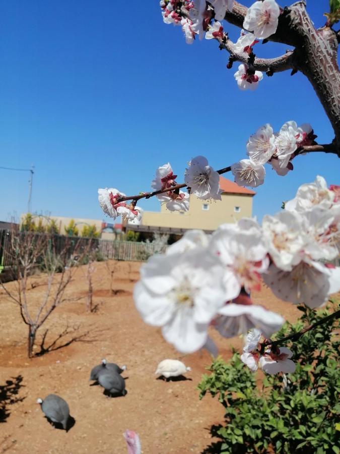 מאדאבה Villa Zee מראה חיצוני תמונה